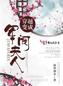 穿越成军阀夫人电视剧叫什么