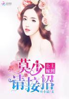 公主嫁到之莫少太傲娇免费阅读