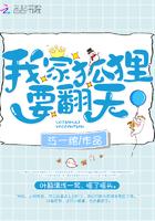 我家狐狸又跑了