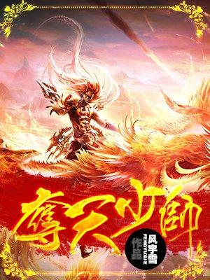 夺天少帅 风宇雪