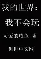 不会玩我的世界这么大还是遇见你