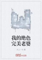我的绝色完美总裁
