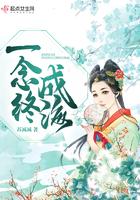一念终生简介