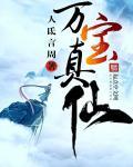 万宝仙人
