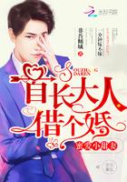 借个婚!全文免费阅读