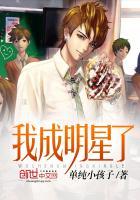 我成为了大明星