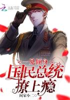 一见总统误终身免费阅读