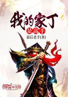 我的家丁是高手漫画全集