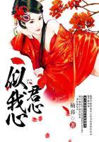 君心似我心不负相思意什么意思