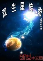 双生星灵阵容