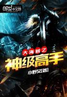 海贼之神级大boss