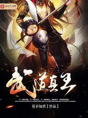 武道真王剧情解析