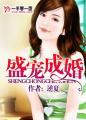 盛宠成婚傲娇总裁爱上我