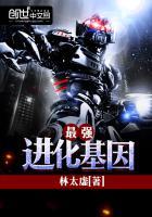 最强进化图鉴大全