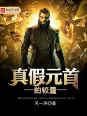 真假元首的较量奇书网