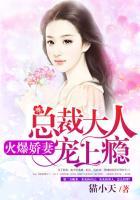 火爆娇妻总裁大人宠上瘾