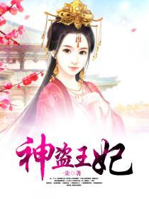 神偷王妃穿越