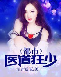 都市医道狂婿