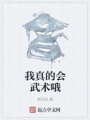 我真的会武术西窗白