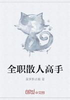 全职高手散人技能大全