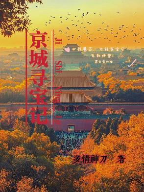 北京寻宝记真正动画片