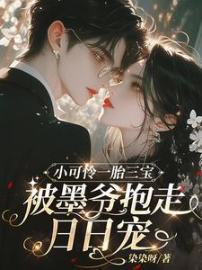 小可怜一胎三宝被墨爷抱走日日宠 染染呀