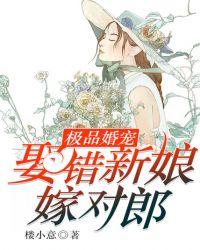 极品婚宠娶错新娘嫁对郎 聚合中文网