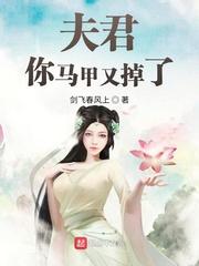 夫君马甲有点多