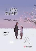 恰似流年是什么意思