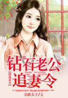 顶级追妻火葬场[快穿