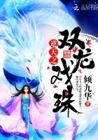 逆天双龙传