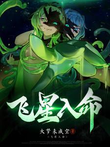 飞星入命txt