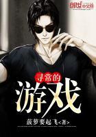 寻找游戏有什么