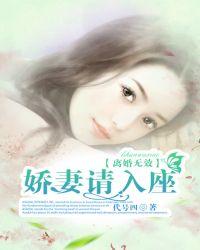 离婚无效宠妻无度全文