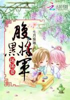 腹黑将军嫁进门2