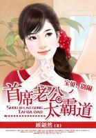 全球盛宠小萌妻txt