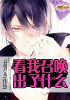 我要看什么召唤