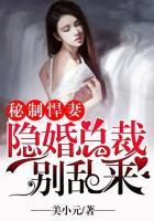 隐婚秘爱总裁宠妻无度免费阅读