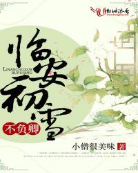 临安初雨初霁的翻译