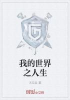 我的世界人生模组