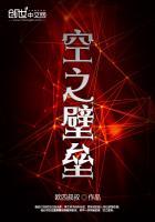 空之壁垒2免费观看中文版