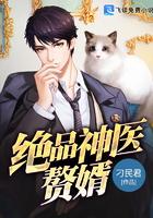 绝品神医赘婿免费听书