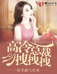 情定kitty 高冷总裁拽拽拽