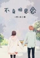 不负相思念是什么歌曲