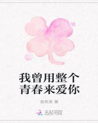 我曾用整个青春爱过你