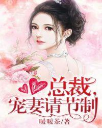 宠妻请节制txt