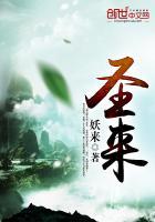 圣来汐电动推进器故障分解