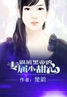 霸道黑帝的专有宠妻