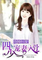 隐婚掠爱四少宠妻入骨