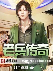 老兵传奇176攻略大全最新